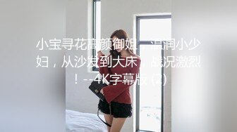 小宝寻花高颜御姐，温润小少妇，从沙发到大床，战况激烈！--4K字幕版 (2)