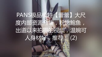 PANS极品模特【蕾蕾】大尺度内部资源合集，粉嫩鲍鱼，出道以来拍摄的视频，温婉可人身材好，推荐！ (2)