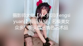 摄影师大佬【Mr.死因(Fengsiyuan)】极品私拍，名模美女众多，街头露出情色艺术品