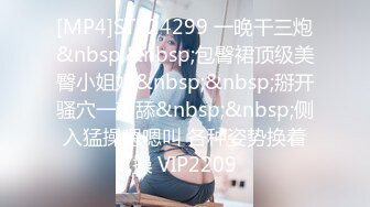 [MP4]STP24299 一晚干三炮&nbsp;&nbsp;包臀裙顶级美臀小姐姐&nbsp;&nbsp;掰开骚穴一顿舔&nbsp;&nbsp;侧入猛操嗯嗯叫 各种姿势换着操 VIP2209