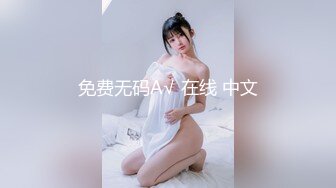 免费无码A√ 在线 中文