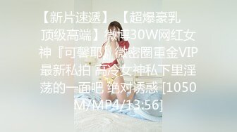 你们的女神不过是我的炮架