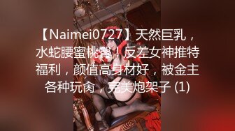 【Naimei0727】天然巨乳，水蛇腰蜜桃臀！反差女神推特福利，颜值高身材好，被金主各种玩肏，完美炮架子 (1)