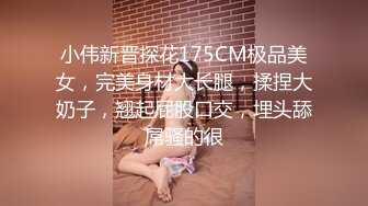 [MP4/ 1.31G] 冒险雷探花，20岁兼职学生妹，沙发调情啪啪，粉嘟嘟胴体干起来格外过瘾，水声呻吟声销魂诱人