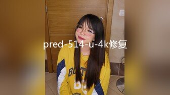 pred-514-u-4k修复