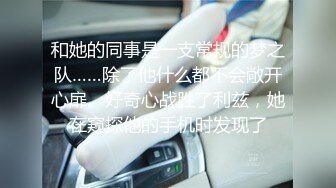 和她的同事是一支常规的梦之队……除了他什么都不会敞开心扉。好奇心战胜了利兹，她在窥探他的手机时发现了