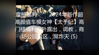 震撼福利☆☀️2024年新作超高颜值车模女神【太子妃】高门槛福利户外露出，调教，商场公园景区，屌炸天 (5)