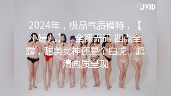 2024年，极品气质模特，【小婕儿】，全裸无码 四点全露，甜美女神还是个白虎，超清画质呈现