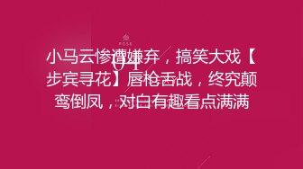 小马云惨遭嫌弃，搞笑大戏【步宾寻花】唇枪舌战，终究颠鸾倒凤，对白有趣看点满满