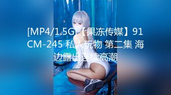 [MP4/1.5G]【果冻传媒】91CM-245 私人玩物 第二集 海边露出连续高潮