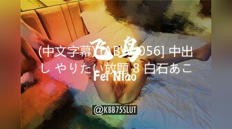 (中文字幕) [ABW-056] 中出し やりたい放題 8 白石あこ