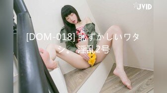 [DOM-018] 恥ずかしいワタシ。 淫乱2号