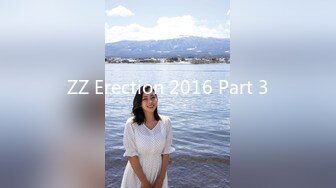 ZZ Erection 2016 Part 3