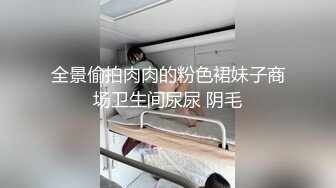 全景偷拍肉肉的粉色裙妹子商场卫生间尿尿 阴毛