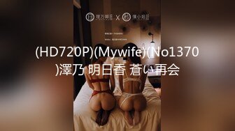 (HD720P)(Mywife)(No1370)澤乃 明日香 蒼い再会