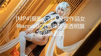 [MP4]摄影大师大尺度作品女神annie国风特殊质感透明旗袍若隐若现