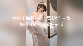 女魔王梅麗莎的H冒險記 ～蒐集精液的色情魔王～ 2